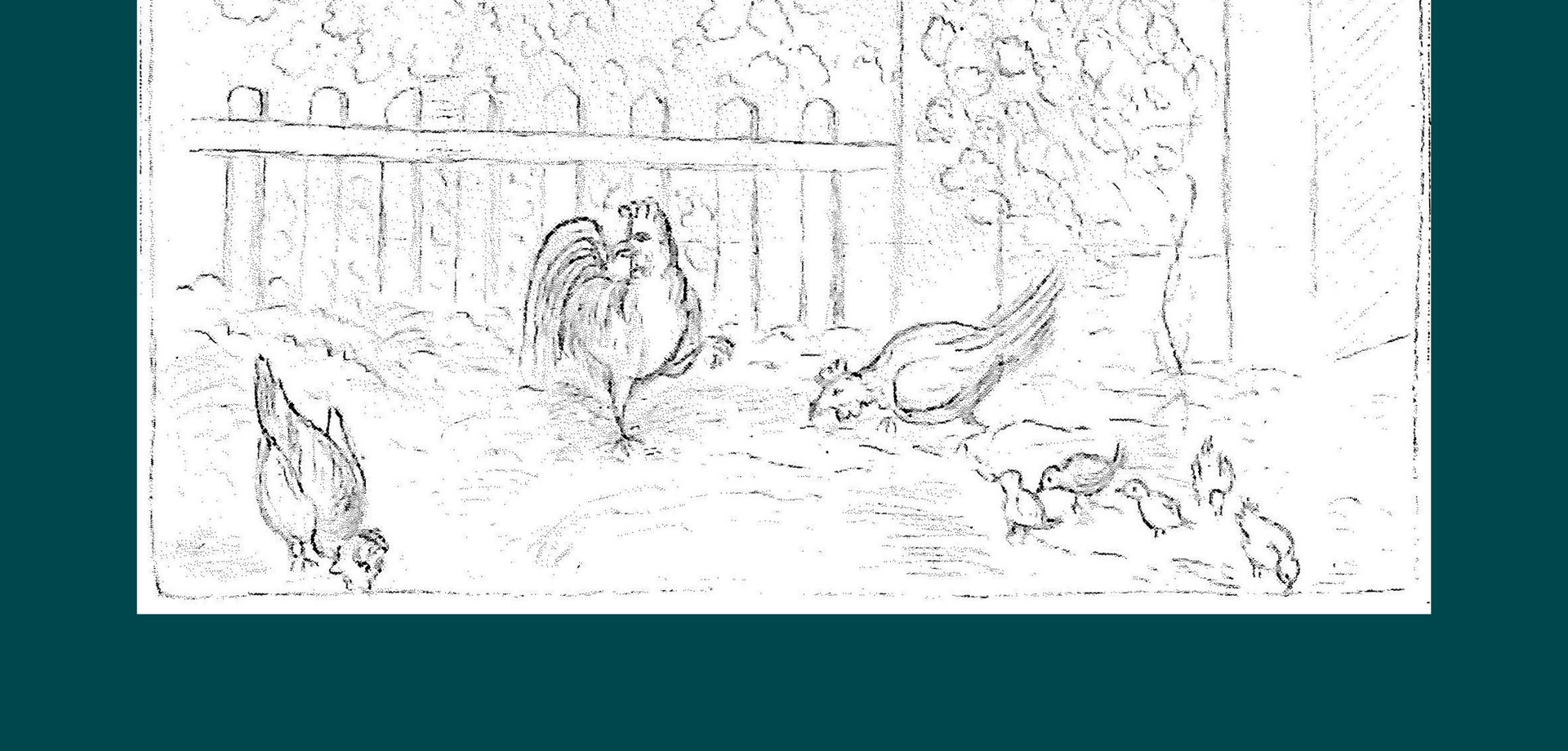 Zeichnung einer Hühnerfamilie von Annette von Droste-Hülshoff