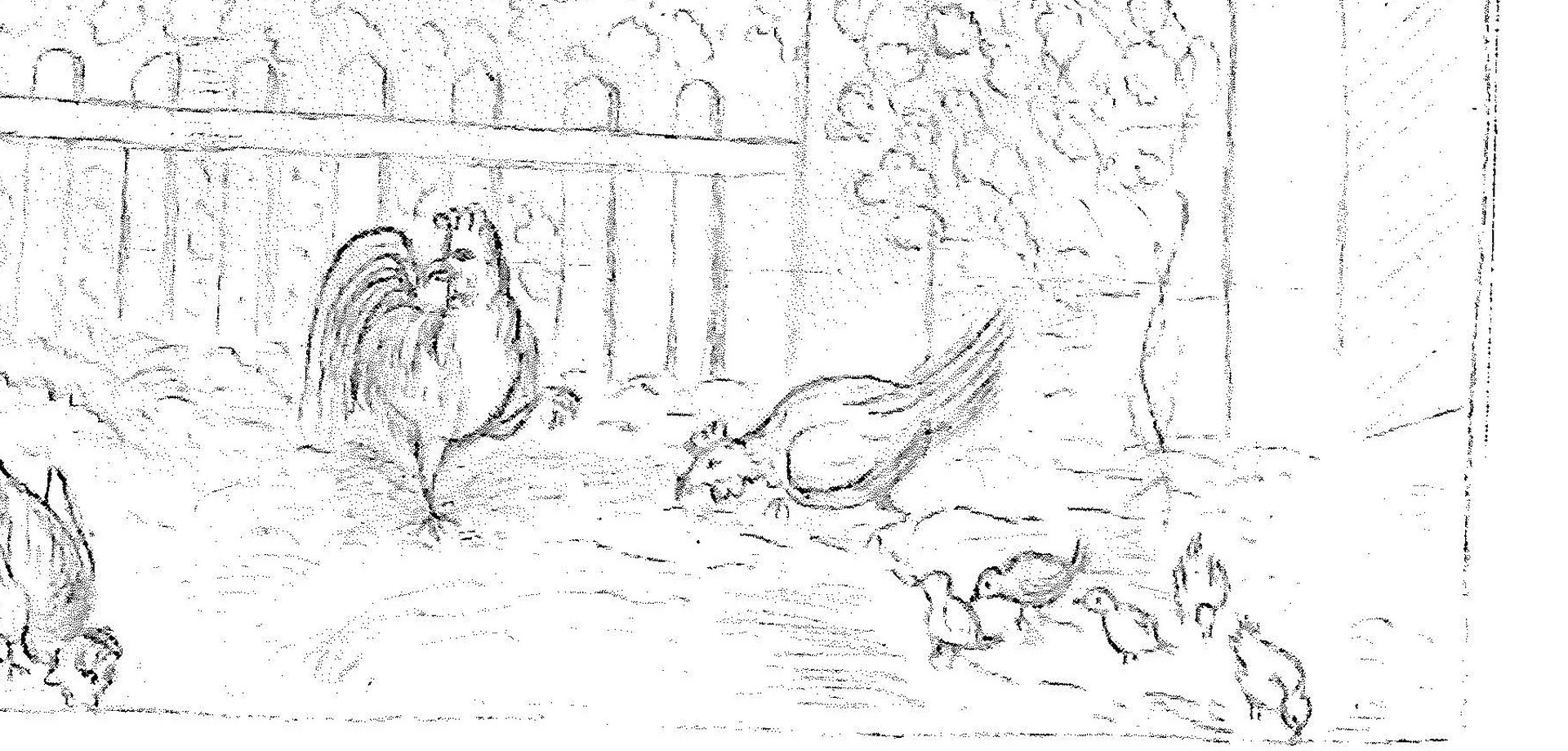 Zeichnung von Hühnern