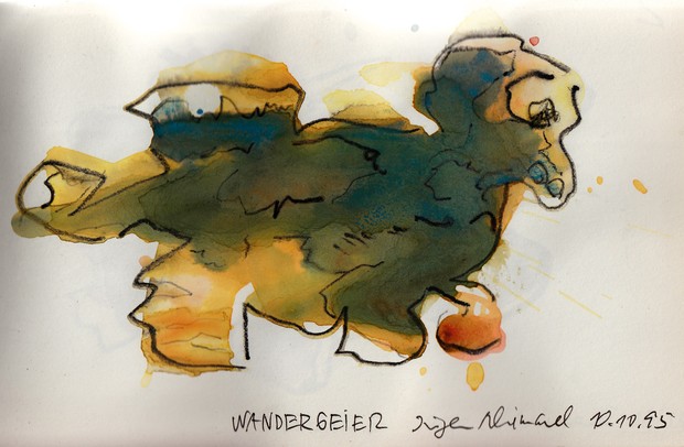 Wandergeier Wandergeier